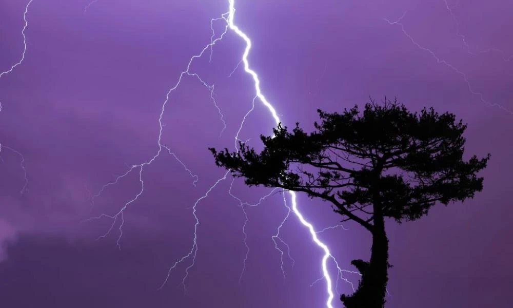 Σώθηκε από κεραυνό ως εκ θαύματος! (Βίντεο)
